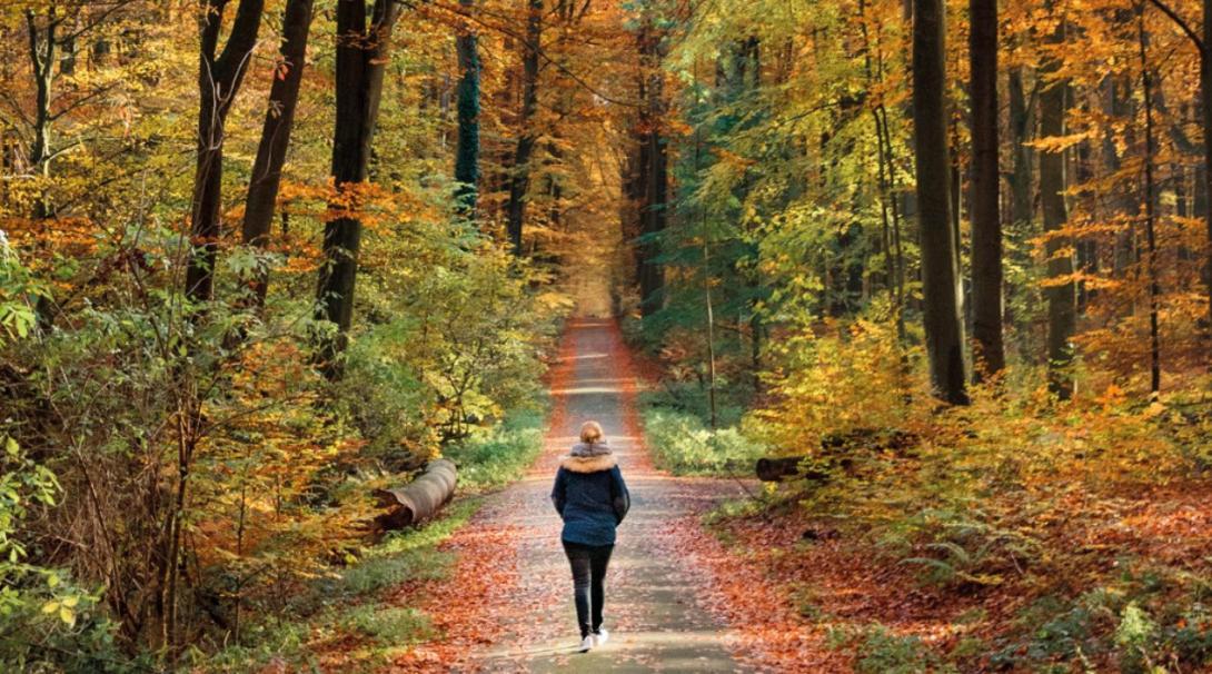 Wandelen in de herfst om daglicht en beweging mee te pakken